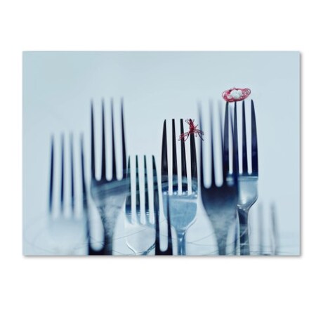Trademark Fine Art Dina Belenko 'Forkwood' Canvas Art, 35x47 1X00335-C3547GG